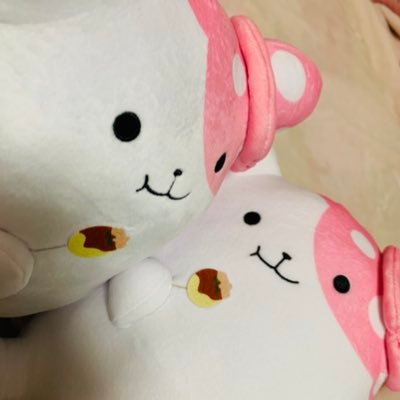 zozzozo_fufufu's profile picture. 毎クール約30本のアニメと約10本のドラマ視聴。コメントもらえたら嬉しいし、楽しくSNS交流したいです！好きなのは→目が点のキャラクター(特にきのこいぬ)🙂安月名莉子ちゃん🎤ラーメン🍜マーモット🐿️趣味レベルのAfter Effects作業🖥️S.O Cru🌏