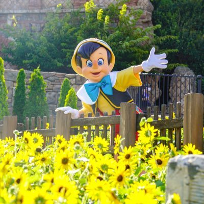 D垢です!ディズニー好きな方はフォロバ100%です!推しはピノキオファミリーです!😆少しでも皆様に笑顔を届けられたら幸いです😌よろしくお願いします😊✨DMは基本見ません。