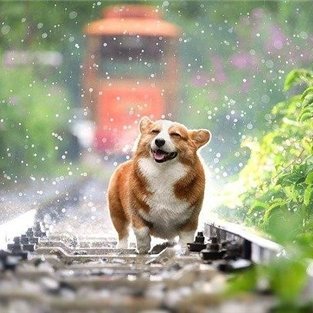 副業の成功法を共有中。副業を始めてみたい人に有益な情報をお届け。わずかですがプレゼント企画も始めました。 期間限定▷ https://t.co/VefCXtk2lS
