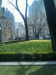 mduplantis's profile picture. 