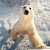 Niklas Schwarz (@schwarz_trips) Twitter profile photo Niklas Schwarz (@schwarz_trips) Twitter profile photo