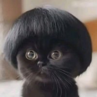 Jörg Schwarz🇩🇪💙🇩🇪 (@jorg_schwa60157) Twitter profile photo