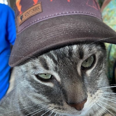 ch_ew_y's profile picture. 