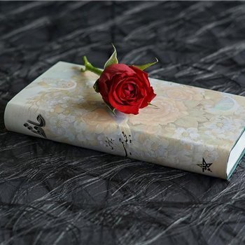 hanae1011219's profile picture. お金に愛される秘訣や副業情報など発信したりしています。私自身お金に苦労した経験からお金に困窮している人の力になれればと思い、少しですが現金給付企画をしております★ 支援中⇒ https://t.co/44tZvGiBPT