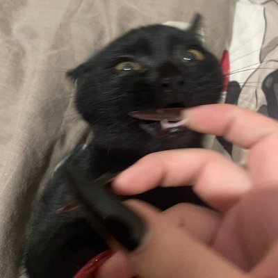 DiShka116998's profile picture. Идём сбривать тебе брови за сто рублей