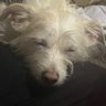 d_a_keldsen's profile picture. C- & VP-level software and systems leader. My calling is software engineering, and I build and fix systems that are for and by people. Healthcare a speciality.
