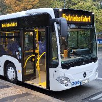 Furry Busdriver - formerly Pistachio Husky (@pistachiohusky) 's Twitter Profile