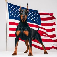 Dogs T-Shirts (@kacimo11111) Twitter profile photo