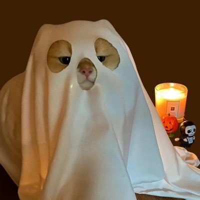 aziahLatte's profile picture. i understand that you don't like me, but you need to understand that i dont't care.