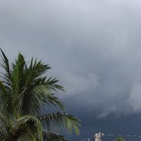 BASUDEB MUKHERJEE꧁IP꧂(✸,✸)#⛺ (@basudeb00789) 's Twitter Profile