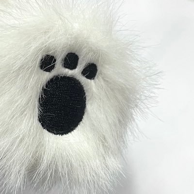 __jooya's profile picture. 