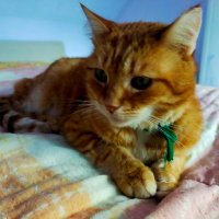 FIFI728657.bsky.social (@fifi728657) 's Twitter Profile
