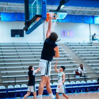 Alexander (@aj_timmons) 's Twitter Profile