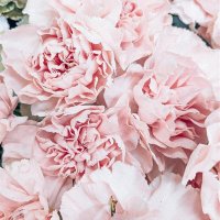 An (@an479916237092) 's Twitter Profile