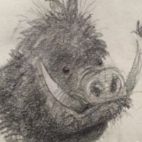 Bruno Souza (@souza38584) 's Twitter Profile Photo