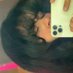 SparklyJumpRopeQueen (@sparklydaytona) Twitter profile photo SparklyJumpRopeQueen (@sparklydaytona) Twitter profile photo