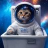 IBCDecentral's profile picture. Host of In the Litter Box and @AstrovaultDaily
Technology, Web3, AI,  Information and Education, Politics.

Views and opinions are our own.