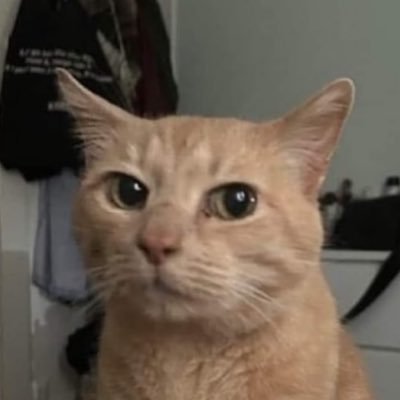 RdByKING's profile picture. @TeamLS4B l @KarmineCorp 🇵🇸