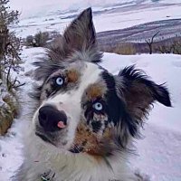 Cindy Webb (@byjurjaks87) Twitter profile photo