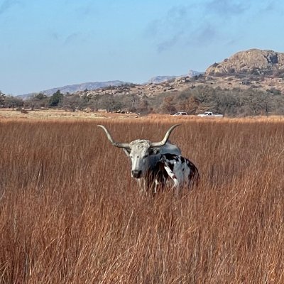 PrairieDogg_'s profile picture. ☩ The Rubicon cannot be uncrossed
☩ Westerner 
☩ Economist  
☩ Conservative Populist  
☩ 🇺🇸