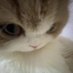 lalilalilu (@liulaliu) Twitter profile photo lalilalilu (@liulaliu) Twitter profile photo