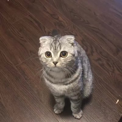 jerryfan2000's profile picture. 