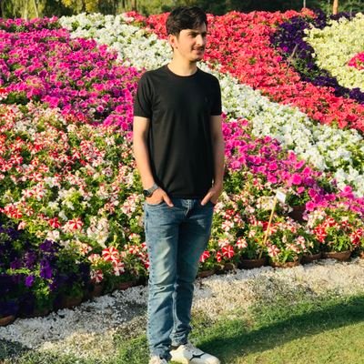 Pashteen223344's profile picture. Bs Artificial Intelligence