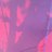 LitSeeker's profile image
