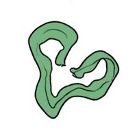 wepy (@0wepy) 's Twitter Profile