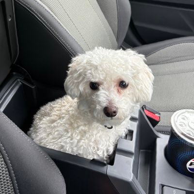 DanielR06814508's profile picture. all my opinions are correct, including this one #iren investor