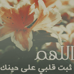 رضاك يالله والجنة ♥