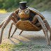 Sir Spiderturtle (@sirspiderturtle) Twitter profile photo Sir Spiderturtle (@sirspiderturtle) Twitter profile photo