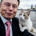 InvestWithMusk (@innovationmusk_) Twitter profile photo InvestWithMusk (@innovationmusk_) Twitter profile photo