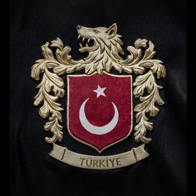 FarooqA42257229's profile picture. 🇹🇷🇸🇦