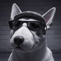 MAV187 (@mvrk187) 's Twitter Profile Photo MAV187 (@mvrk187) 's Twitter Profile Photo