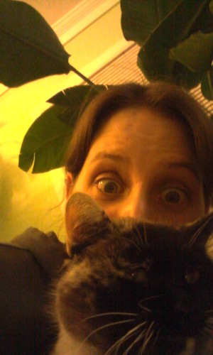 heidio9999's profile picture. 