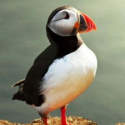 oskol77431's profile picture. 