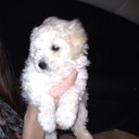 Alison Miller - @AliMiller0209 - Twitter