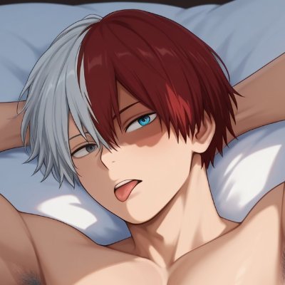 Shoto Todorokiさんのプロフィール画像