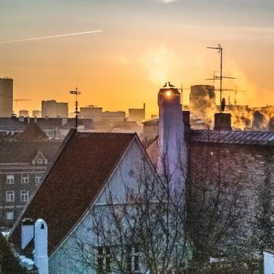 Amelie_FreyA1's profile picture. Gay 🌈