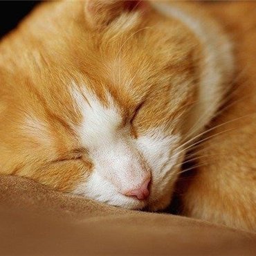 副業で収入を増やすコツを紹介中。副業初心者に有益な情報を提供。少額ですが10万円プレゼント企画も始めました。 期間限定➡ https://t.co/0IXf4PPvFk