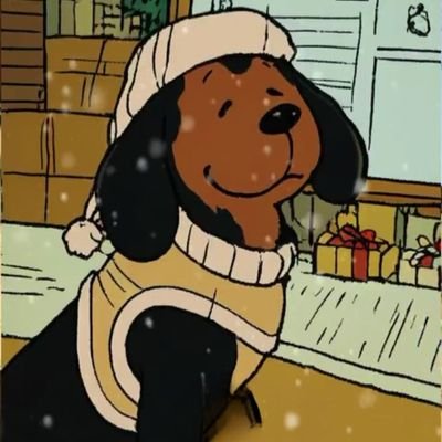 BigPinguino's profile picture. 🚀, 🖥🖱⌨,🎬, 🏃‍♂️, 🥜, and #GoPackGo🧀