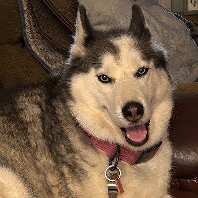 JohnMKendr62830's profile picture. 