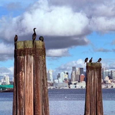 vickoaguilarg's profile picture. observing around