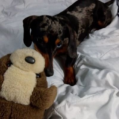 MariaHildo's profile picture. Mortal daughter of an eternal
 Father
Good musicians are also like magicians.  They're sound waves and frequencies to invoke something deep.  An emotion.  A mem