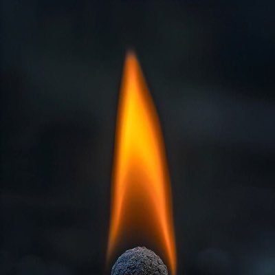 Annoying101guy's profile picture. 