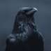 crow (@lamarqueig) Twitter profile photo crow (@lamarqueig) Twitter profile photo