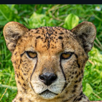 T5890257578365's profile picture. I'm better than every damn one of you