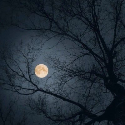 f9z24's profile picture. 