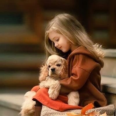 DavisSmith11275's profile picture. 